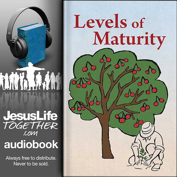 Levels of Maturity