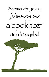hu_vissza_az_alapokhoz.jpg jesuslifetogether.com