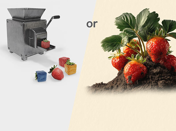 a machine and a garden