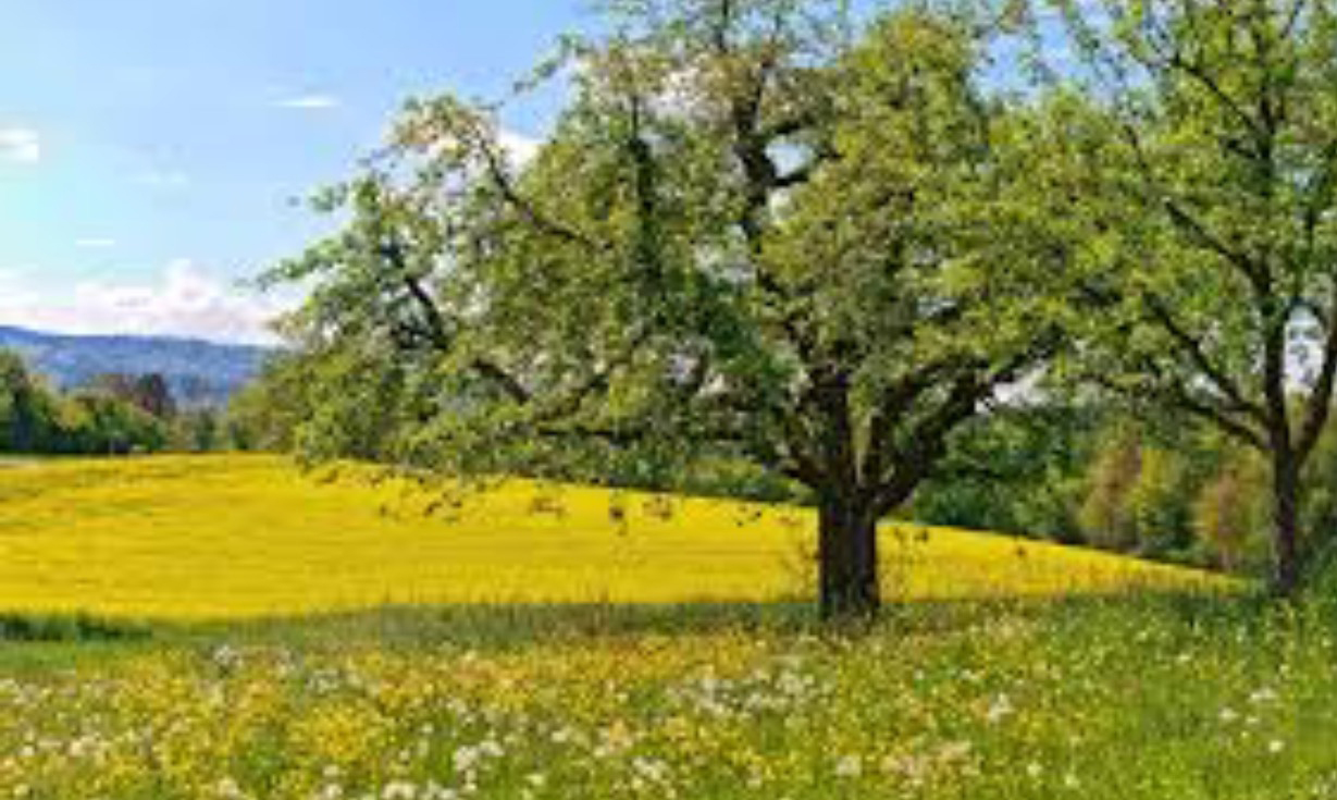 It's a song and a breeze!