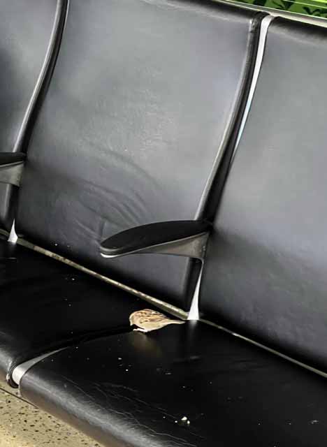 picture of a mess left on a chair