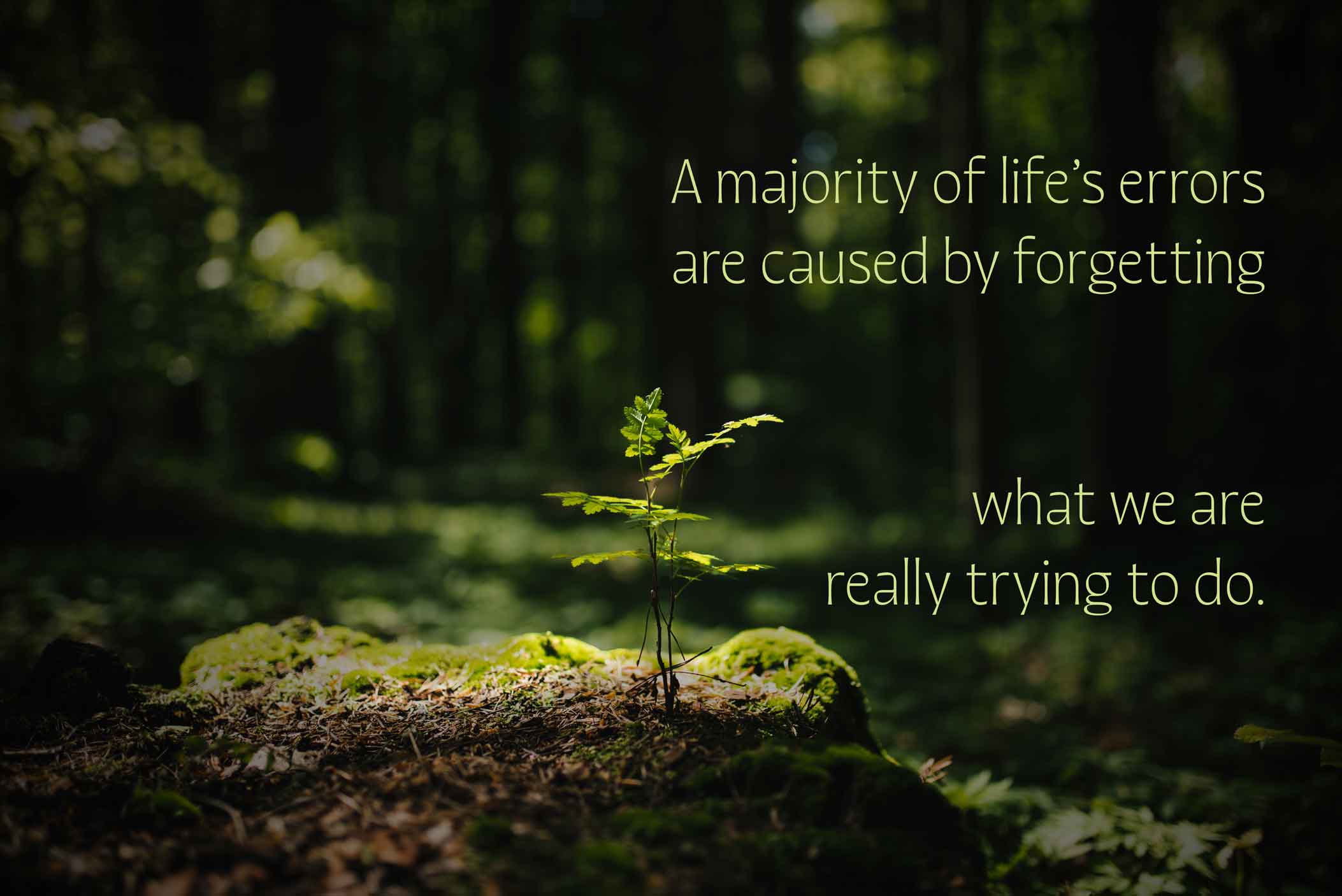 A majority of life's errors are caused by forgetting what we are really trying to do. 