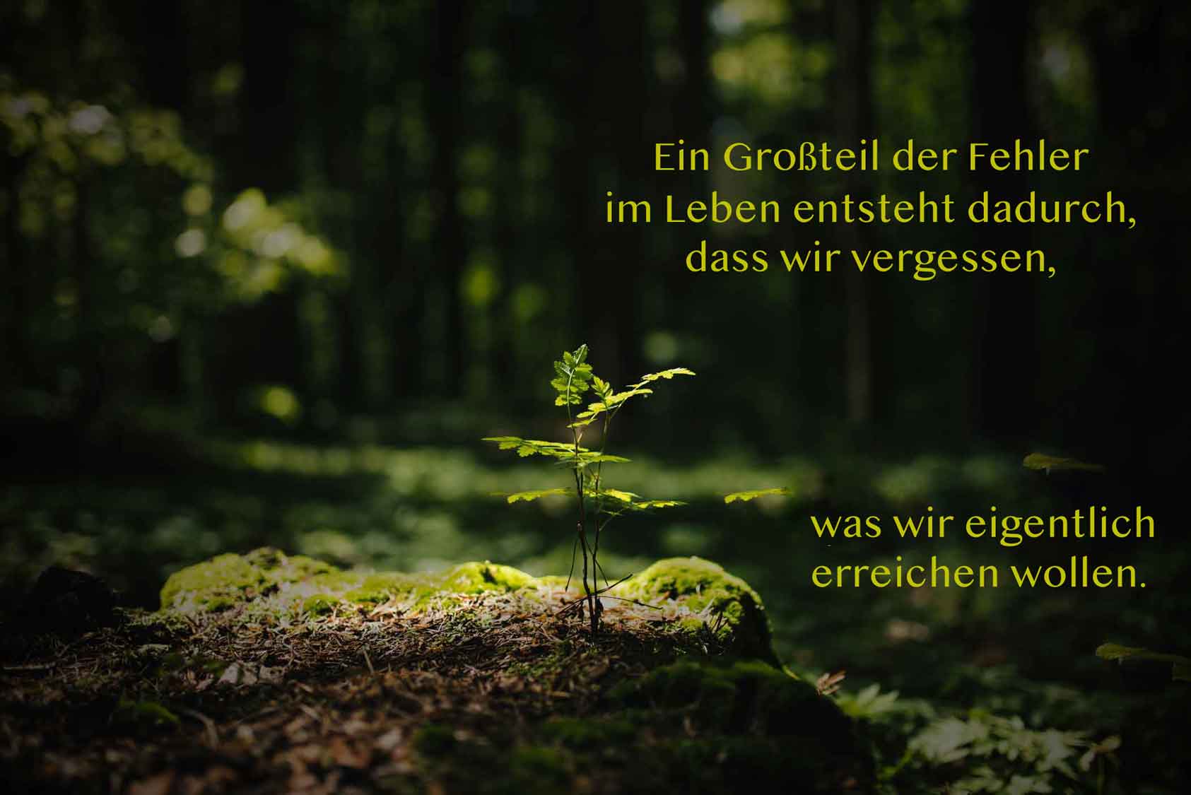 A majority of life's errors are caused by forgetting what we are really trying to do. 