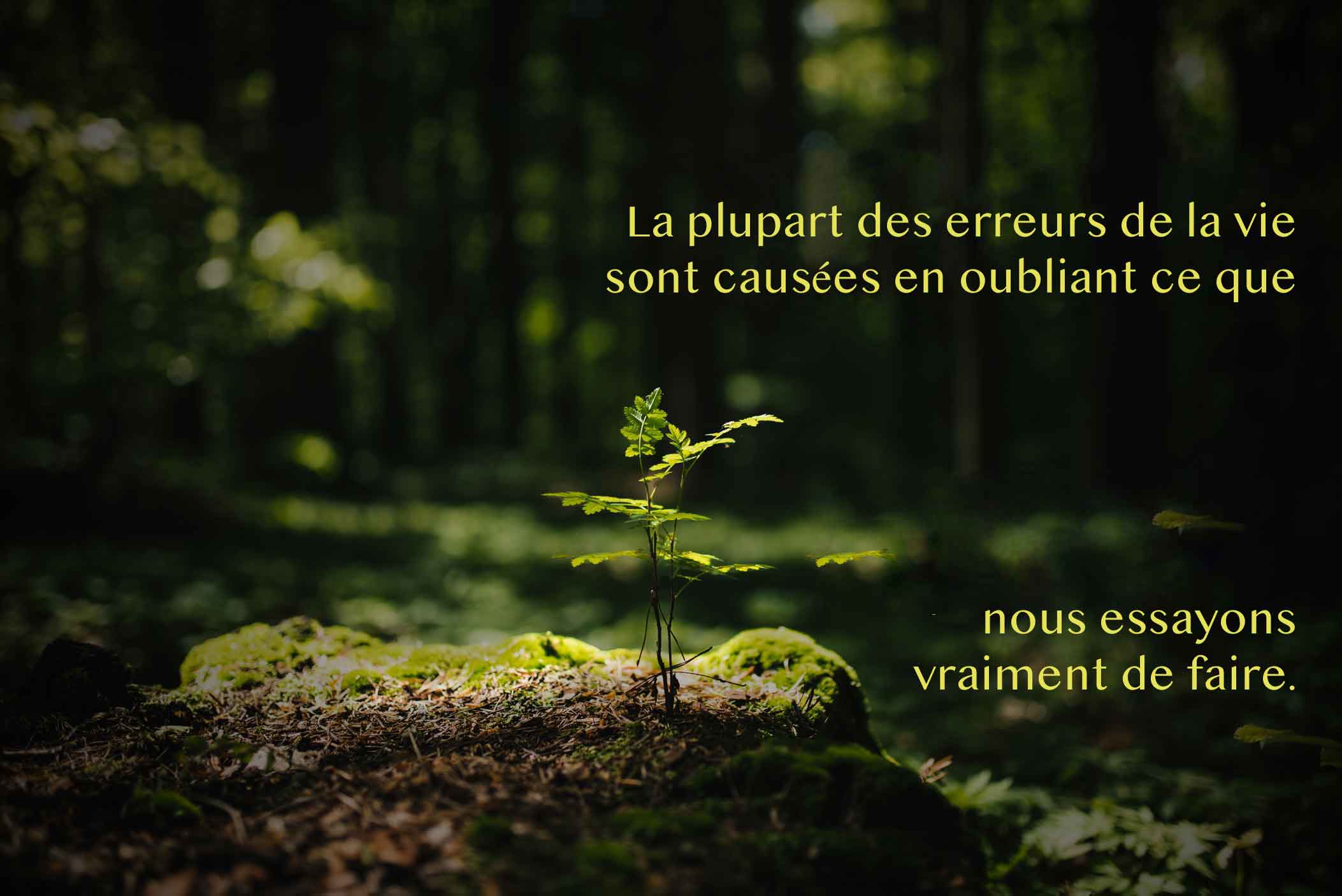 A majority of life's errors are caused by forgetting what we are really trying to do. 