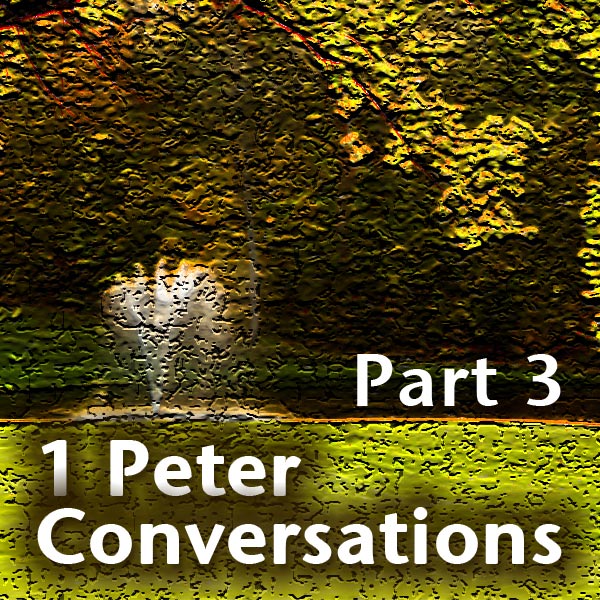 1 Peter Conversations (Part 3)