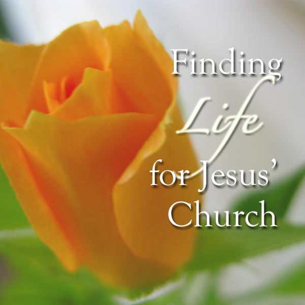 finding_life_for_jesus_church.jpg jesuslifetogether.com