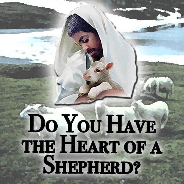 the_heart_of_a_shepherd.jpg jesuslifetogether.com