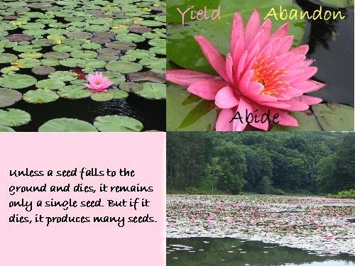 Yield, Abandon, Abide