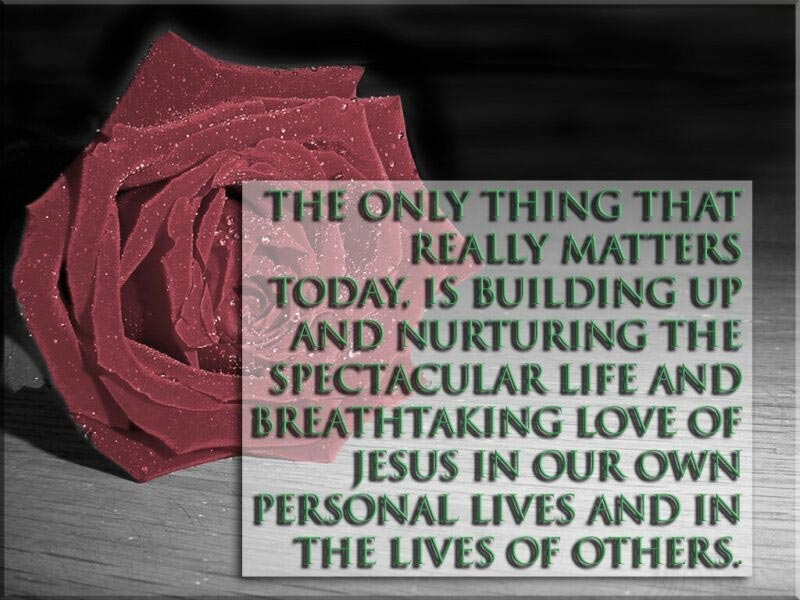 Nurturing Spectacular Life