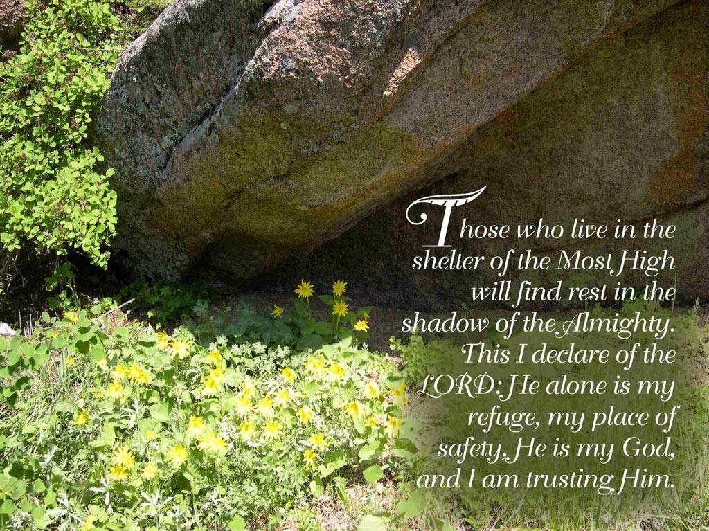 Rest in the Almighty