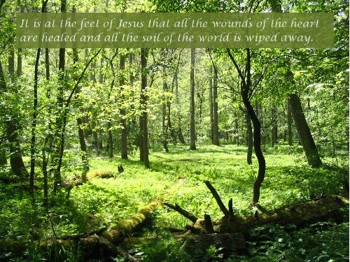 Healer, Deliverer, and King