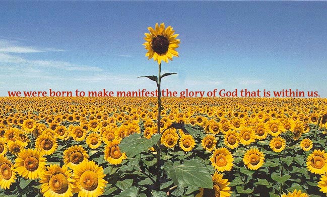 Born to Make Manifest