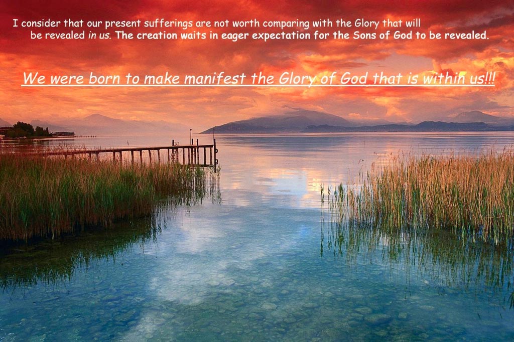 Sons Manifest in Suffering and Glory