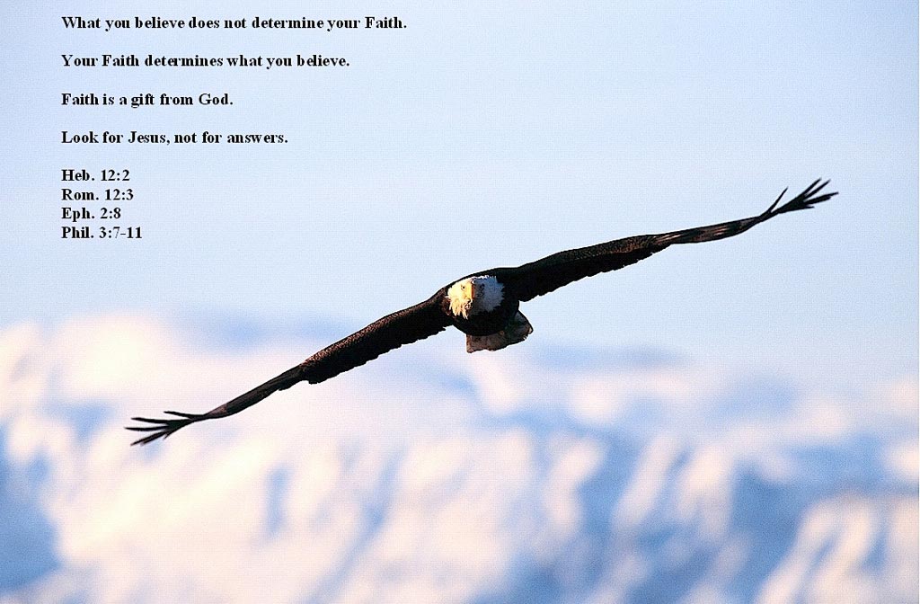 Look for Jesus, Not for Answers