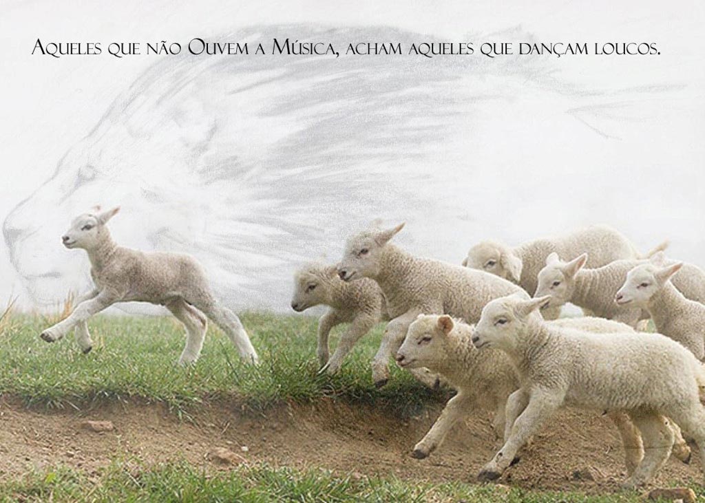 Aqueles que Não Ouvem a Música