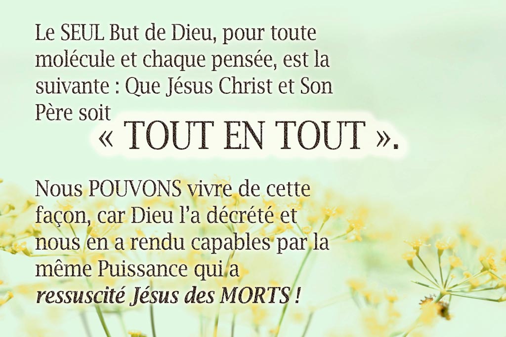 « Le Dessein de Dieu MAINTENANT, par l’Eglise... » (Eph 3 :10)