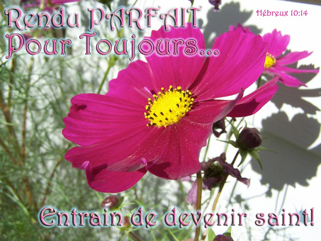 Entrain de Devenir Saint