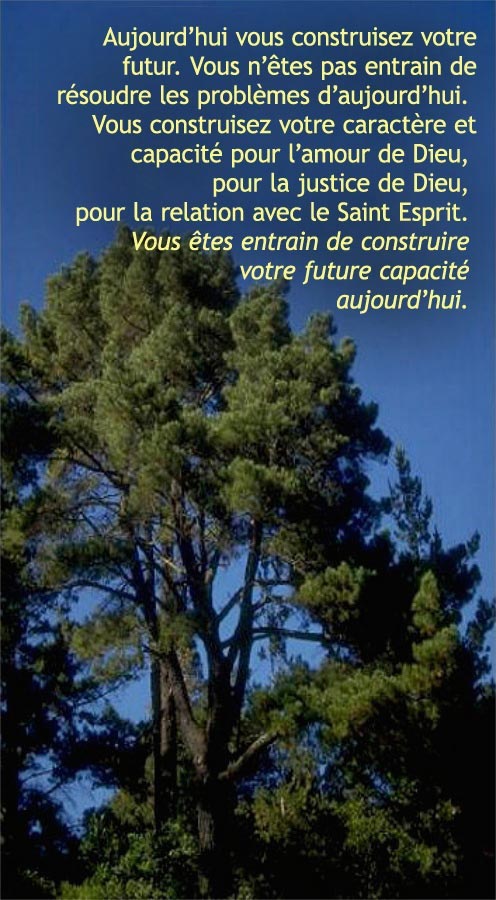 Construisez Votre Avenir Aujourd’hui