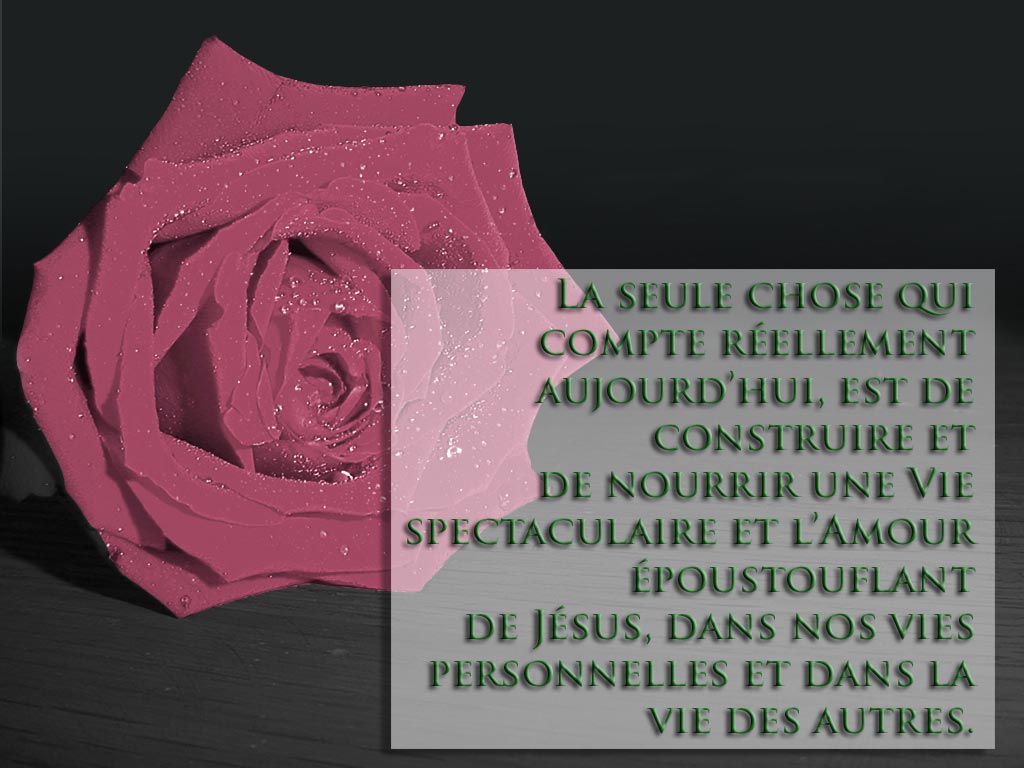 Nourrir une Vie Spectaculaire