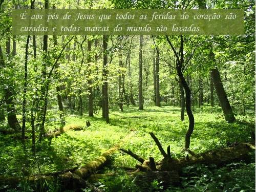 Aquele que Cura, Liberta e Reina