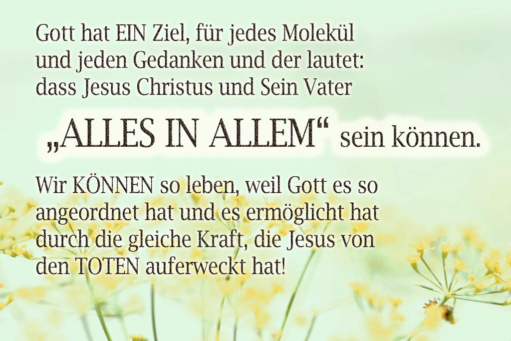 „Gottes Absicht JETZT durch die Gemeinde“ (Eph 3:10)