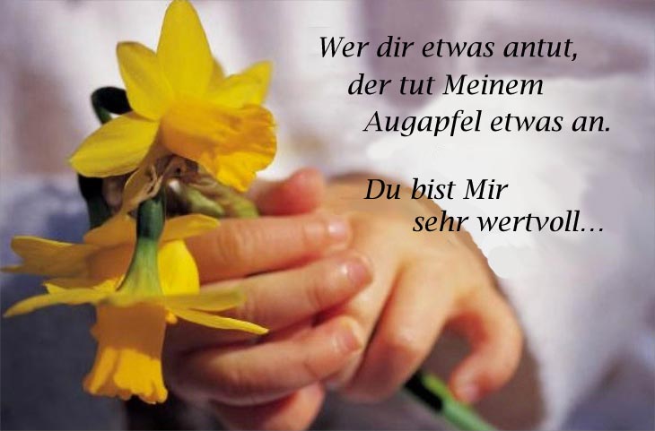 Sein Augapfel