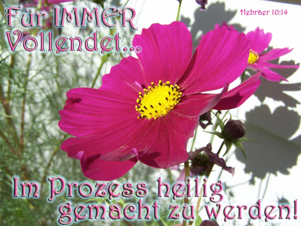 Im Prozess heilig gemacht zu werden!      