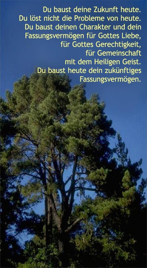 Bau deine Zukunft heute