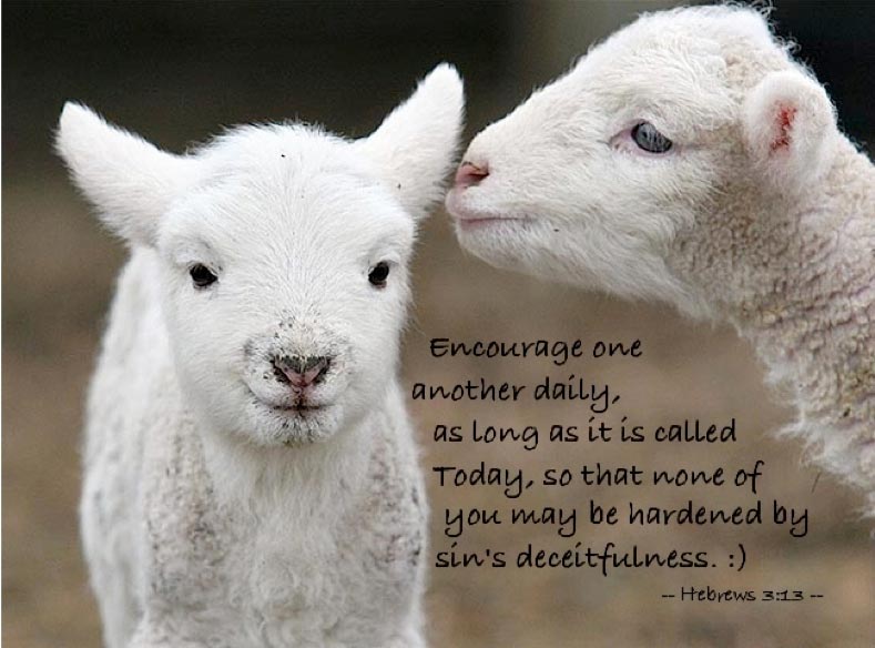 Called Alongside One Another