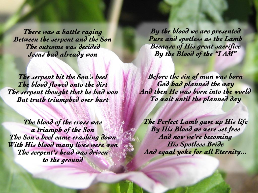 The Blood of the Lamb