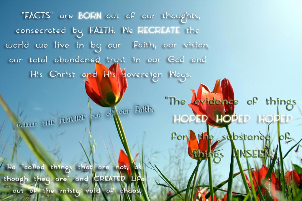 Recreated Life...re-Creation God's Way :)