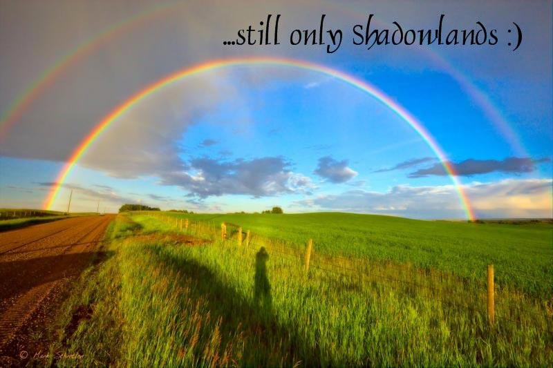 Still Only Shadowlands