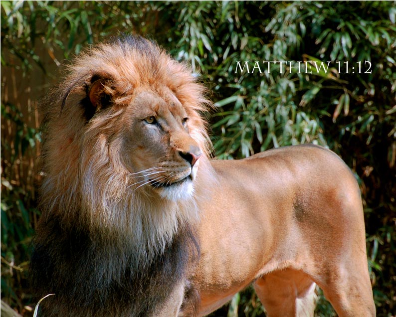 Jesus--and Those Who Live in the Wind of His Spirit-- are 