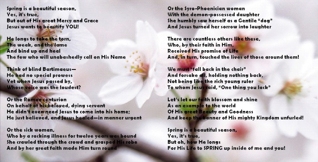 Spring Is A Beautiful Season... :)