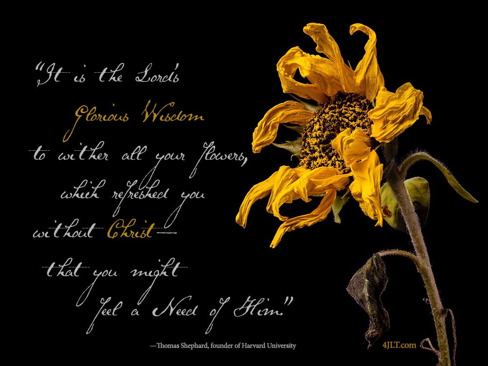 He has a PLAN for you.