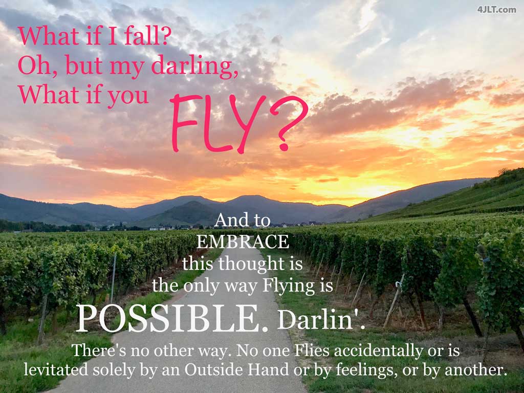 What if you FLY?!