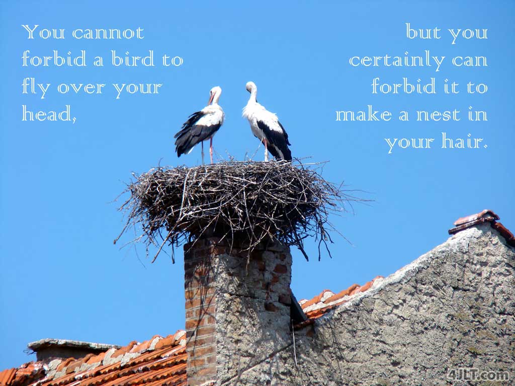 We CHOOSE what we let our minds do