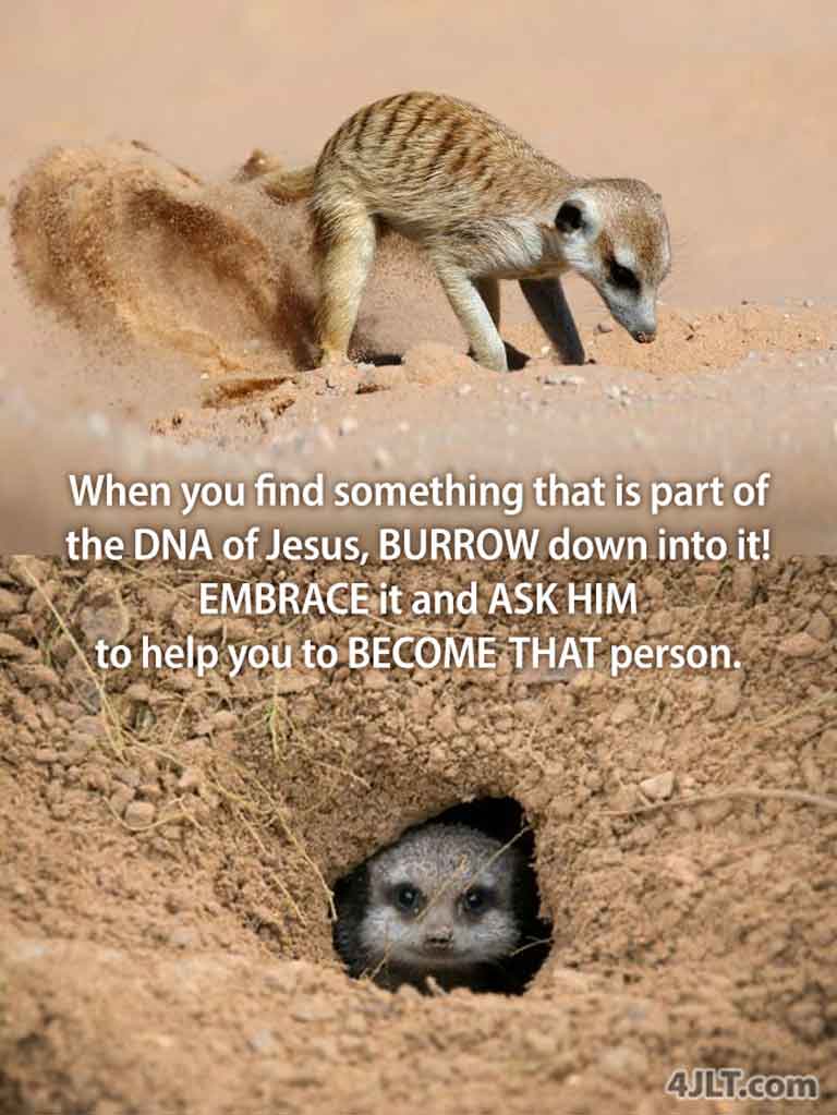 Burrow Down Into Jesus' DNA