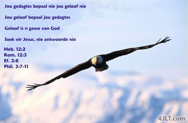 Soek vir Jesus, nie vir Antwoorde nie