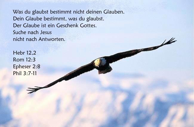 Suche nach Jesus, nicht nach Antworten