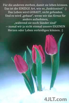 Die EINZIGE Art, wie es „Funktioniert“ 