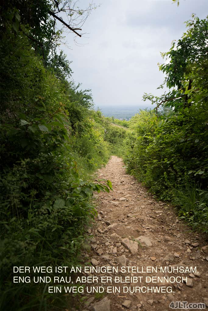 Schmal, aber BEEINDRUCKEND