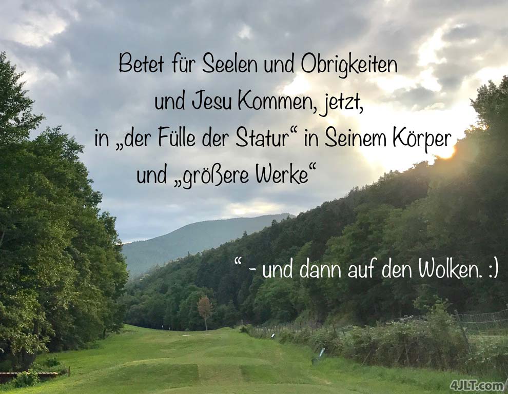 Niemand mehr nach dem Fleisch sehen