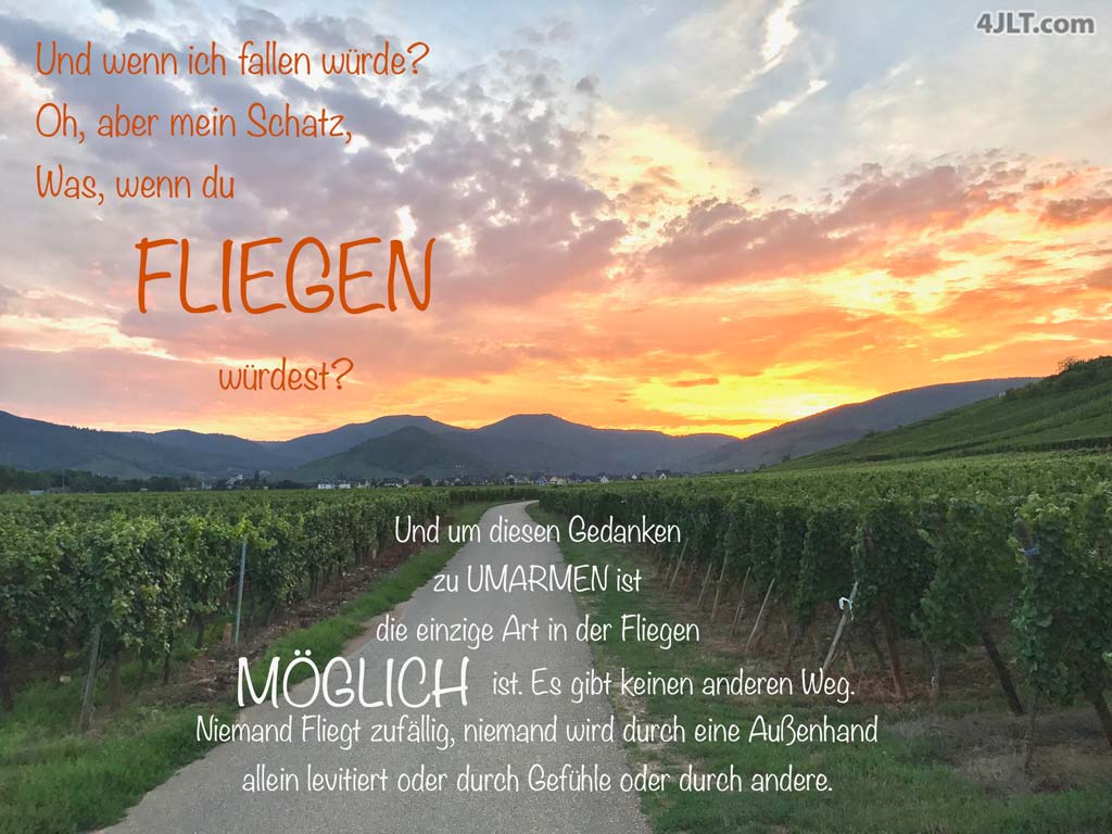 Und wenn ich fallen würde?