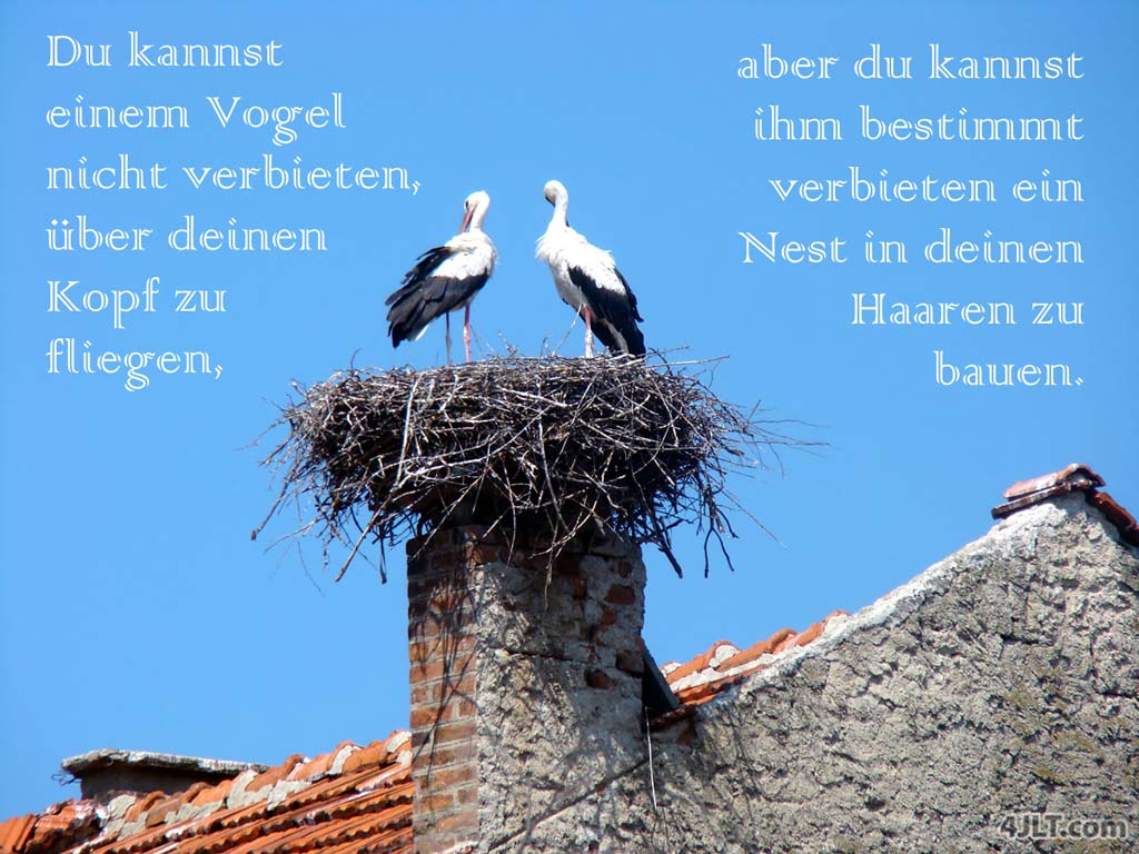 Wir WÄHLEN, welche Gedanken wir unserem Verstand erlauben