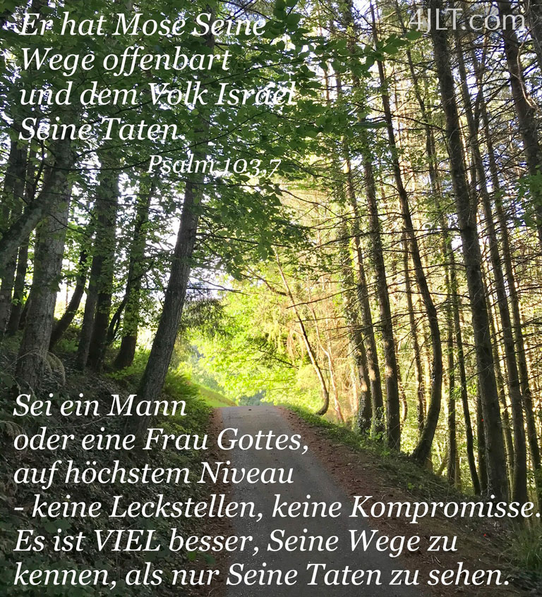 Sei ein Mann oder eine Frau Gottes