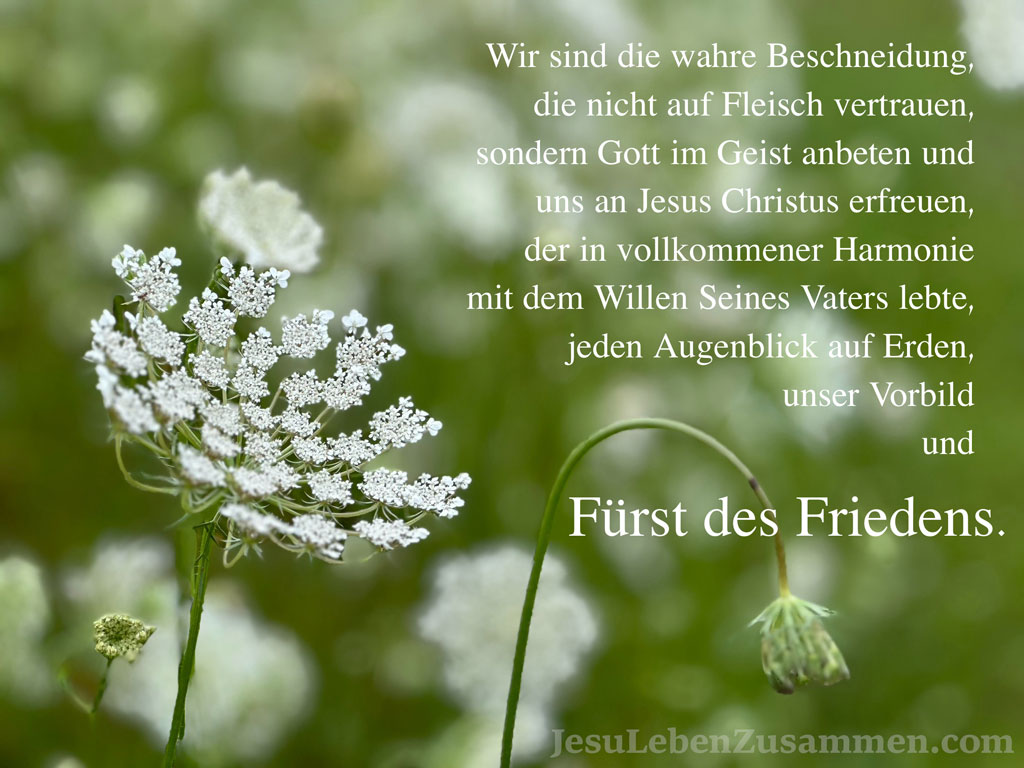 Jesus – unser Vorbild und Fürst des Friedens