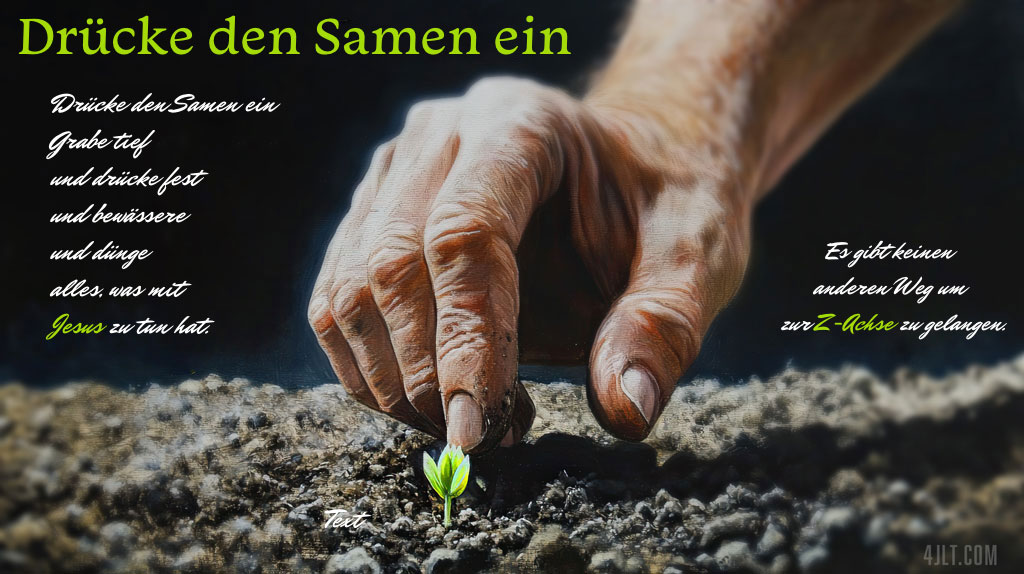 Drücke den Samen fest hinein
