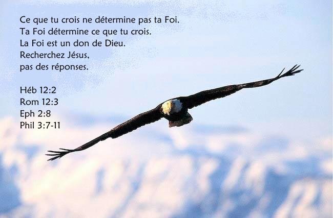 Recherchez JESUS, pas des Réponses !