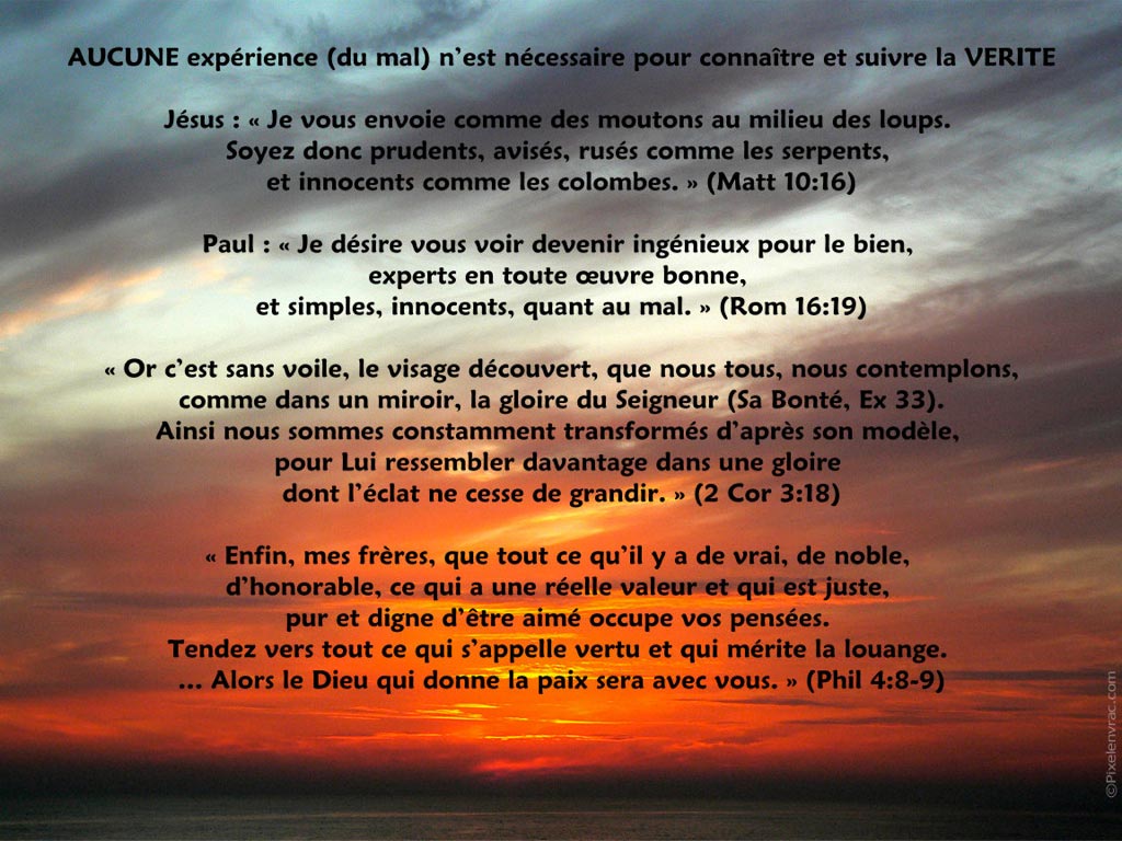 Innocents Comme les Colombes